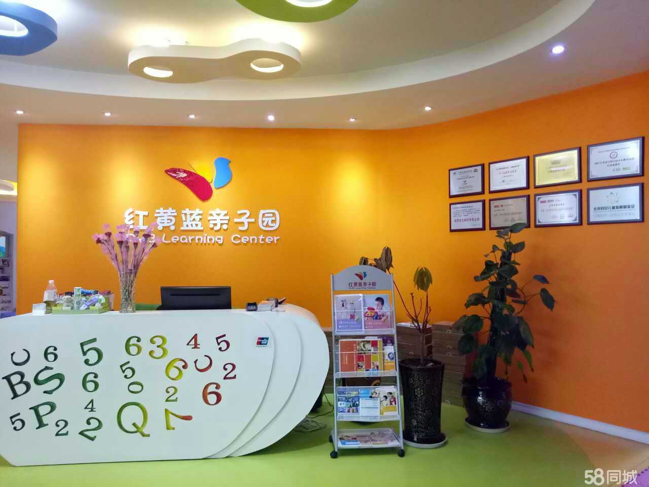 伶昕教育咨询 为您点亮学业与职业的明灯