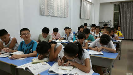 海南启扬教育咨询 专业导航，点亮求学与发展之路